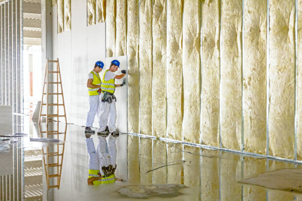 Types of Insulation We Offer in La Mesilla, NM